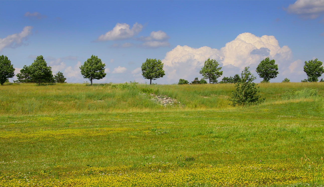 geeignetes Land/Freifläche für Solarparks