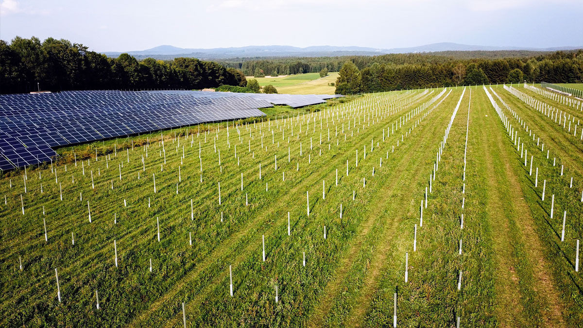 Aufbau eines Solarparks